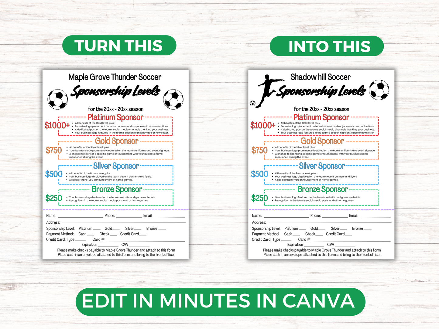 EDITABLE Soccer Sponsorship Levels Flyer Template