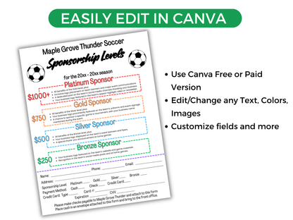 EDITABLE Soccer Sponsorship Levels Flyer Template