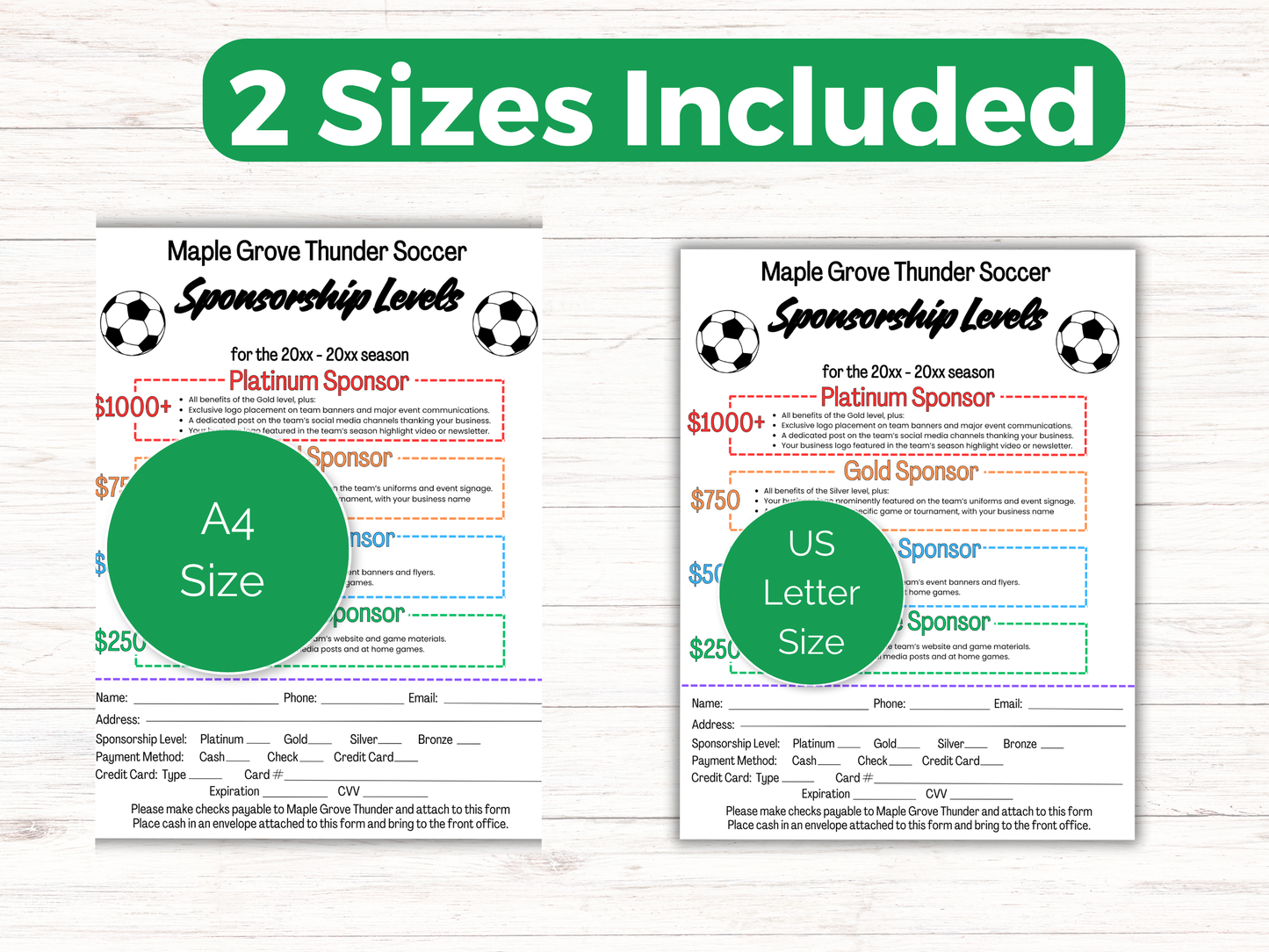 EDITABLE Soccer Sponsorship Levels Flyer Template