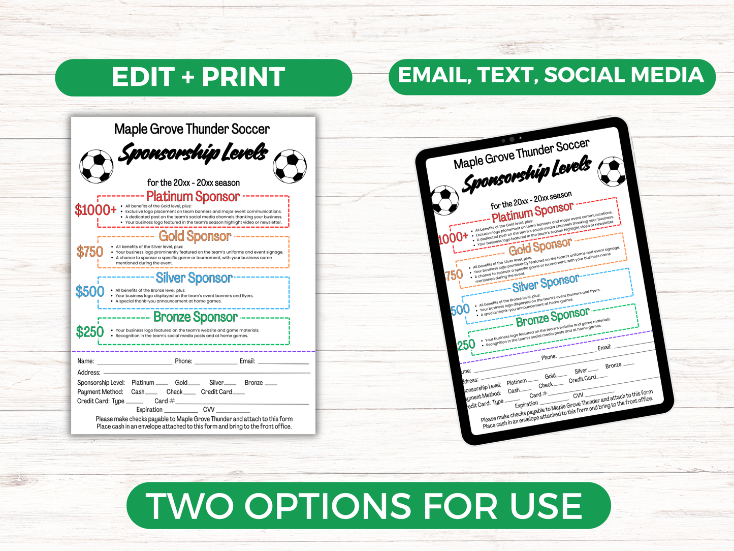 EDITABLE Soccer Sponsorship Levels Flyer Template