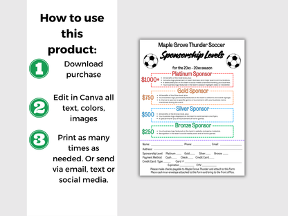 EDITABLE Soccer Sponsorship Levels Flyer Template