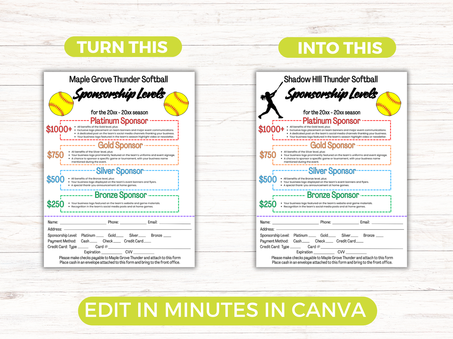 EDITABLE Softball Sponsorship Levels Flyer Template