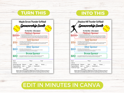 EDITABLE Softball Sponsorship Levels Flyer Template