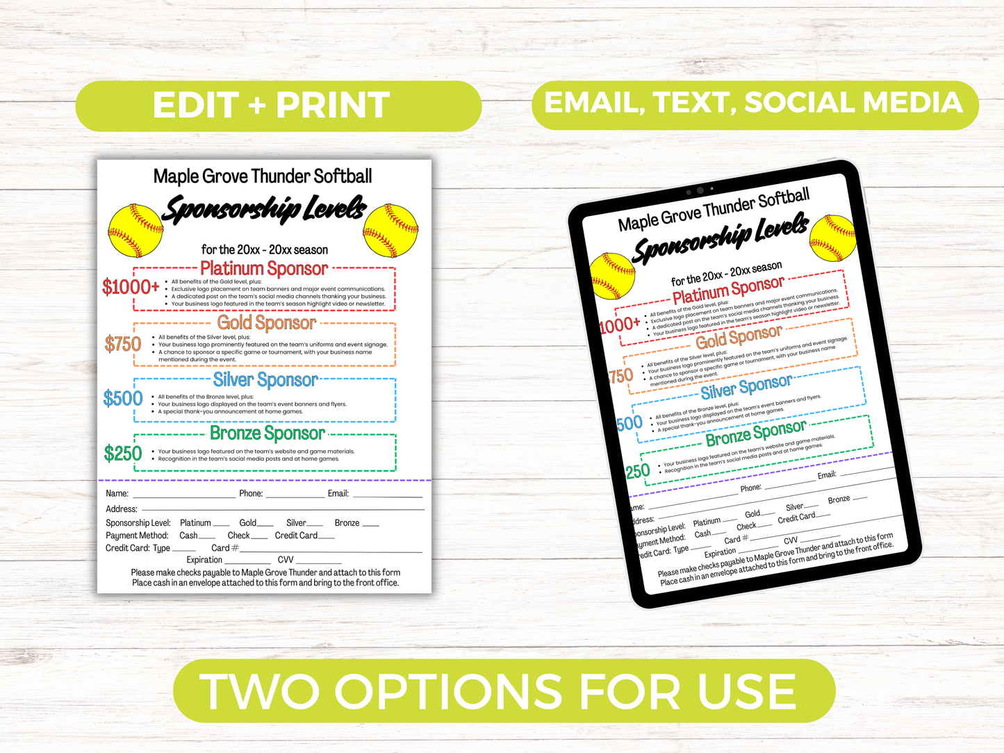 EDITABLE Softball Sponsorship Levels Flyer Template