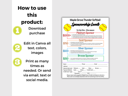 EDITABLE Softball Sponsorship Levels Flyer Template