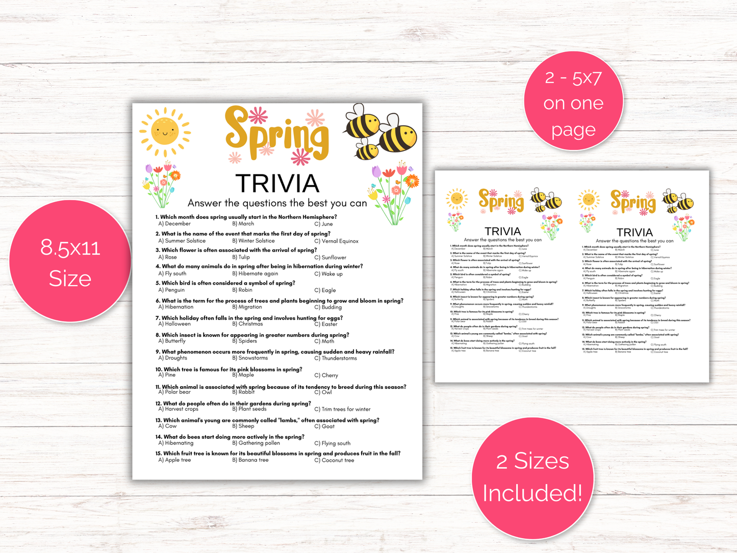Spring Trivia Game