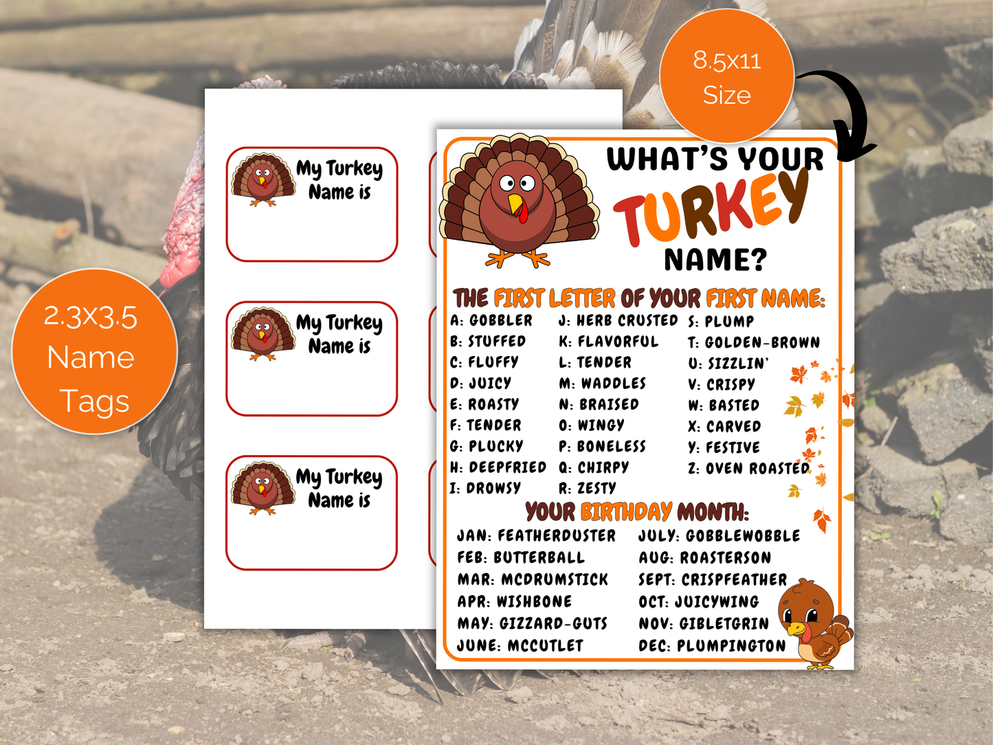 What's Your Turkey Name Game + Name Tags