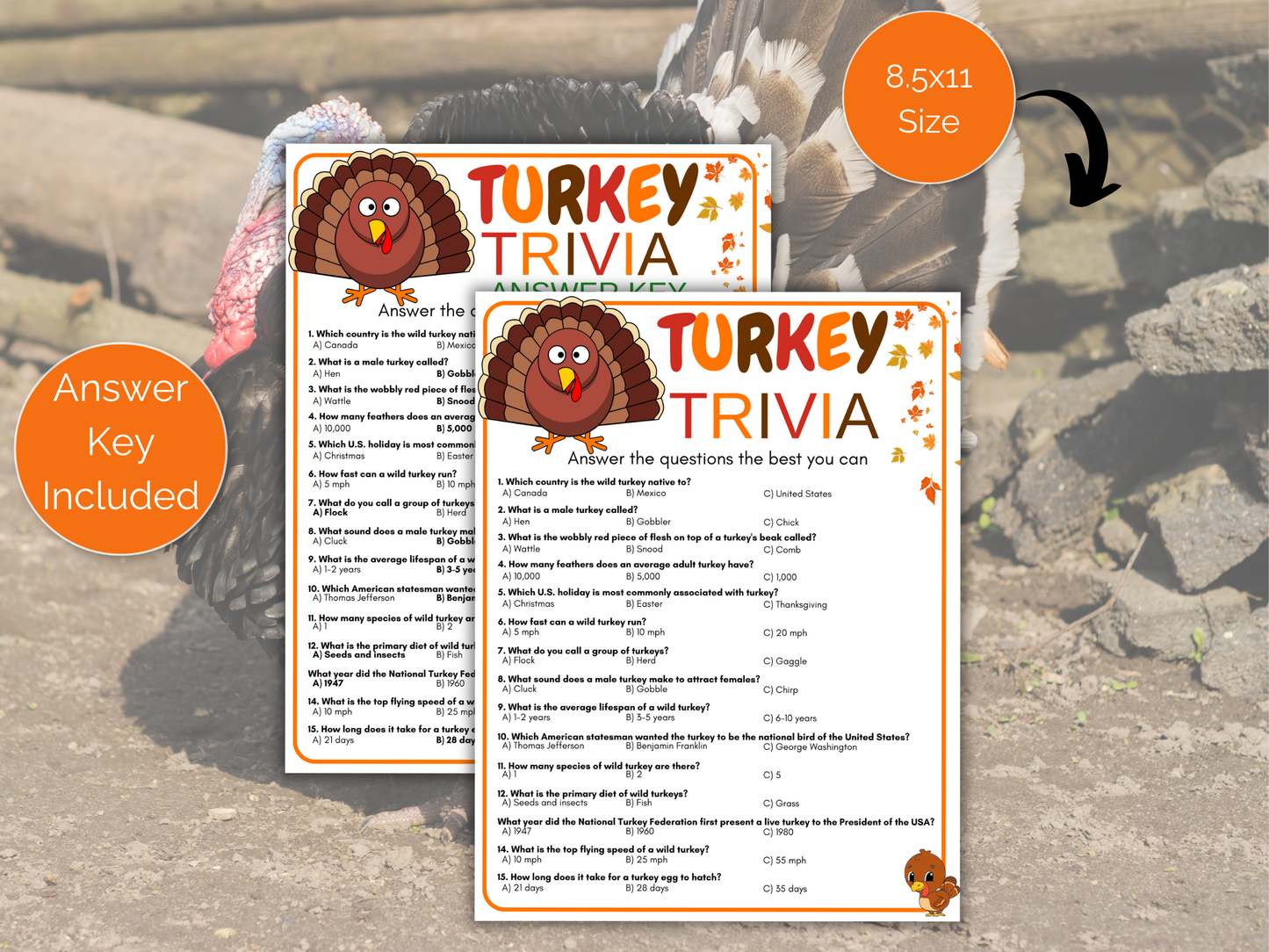 Turkey Trivia Game