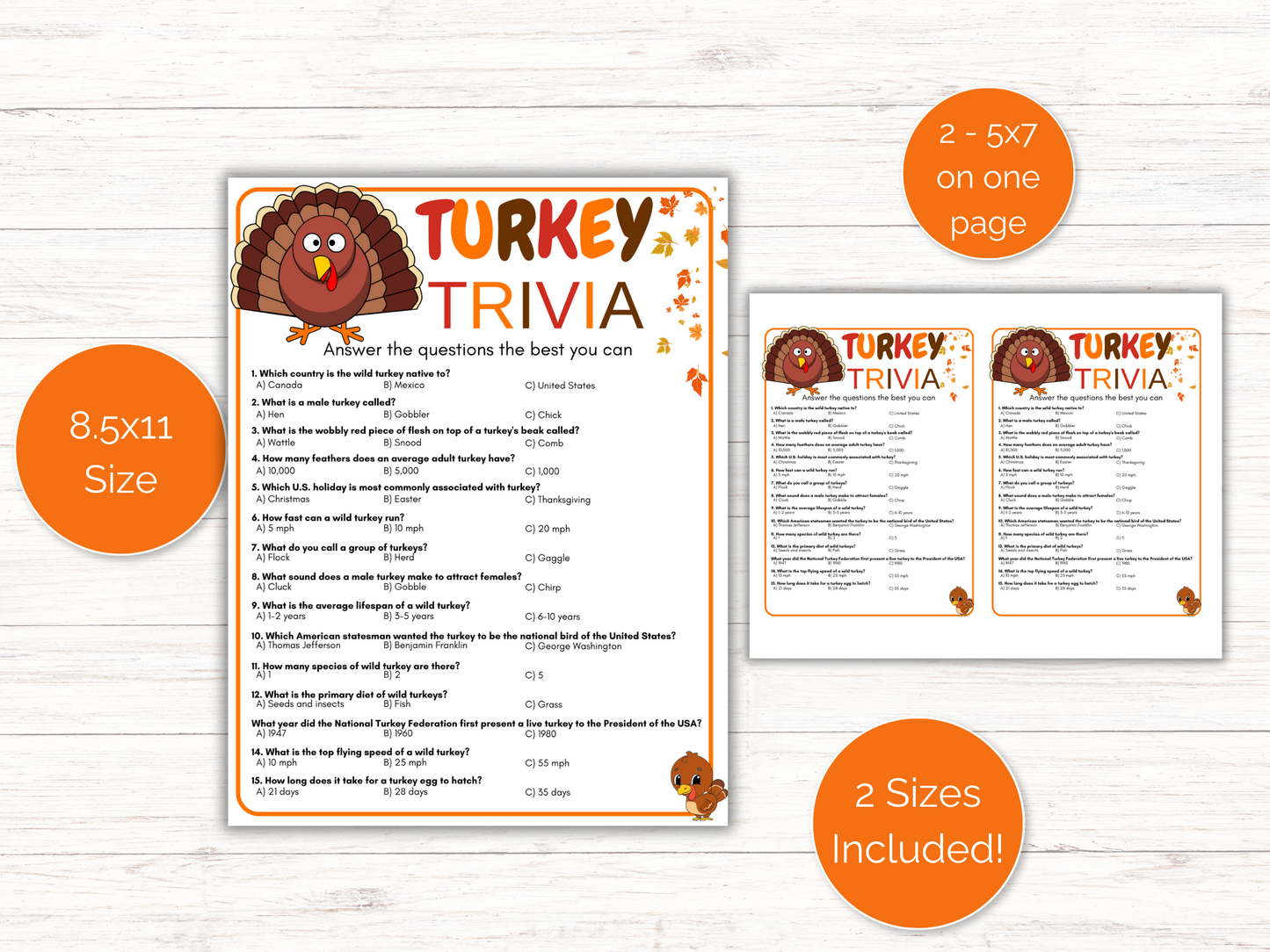 Turkey Trivia Game