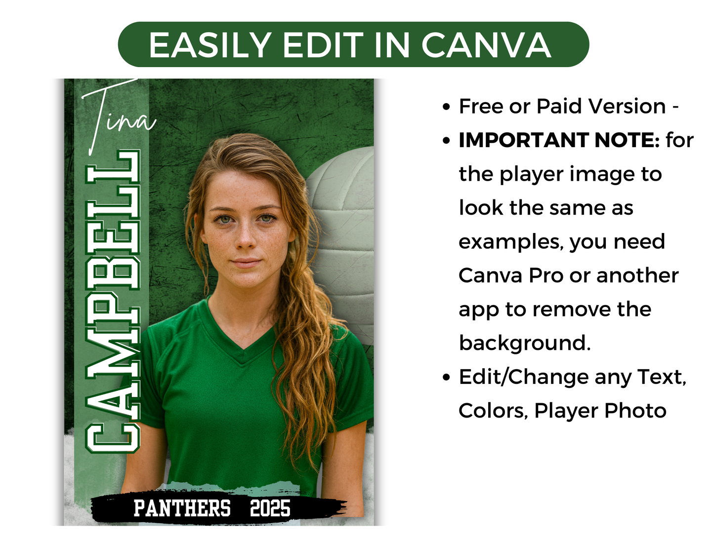 Editable Senior Volleyball Banner Template