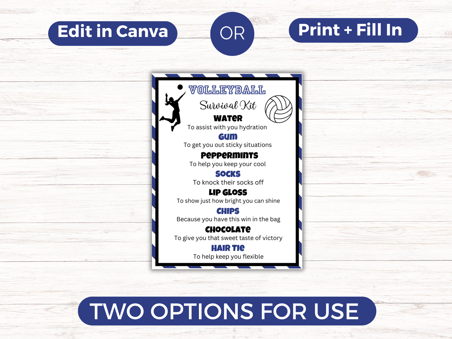 Editable Volleyball Survival Kit Gift Tag Template