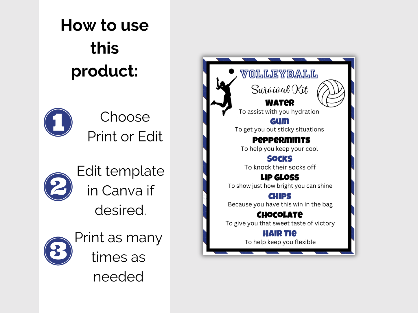 Editable Volleyball Survival Kit Gift Tag Template