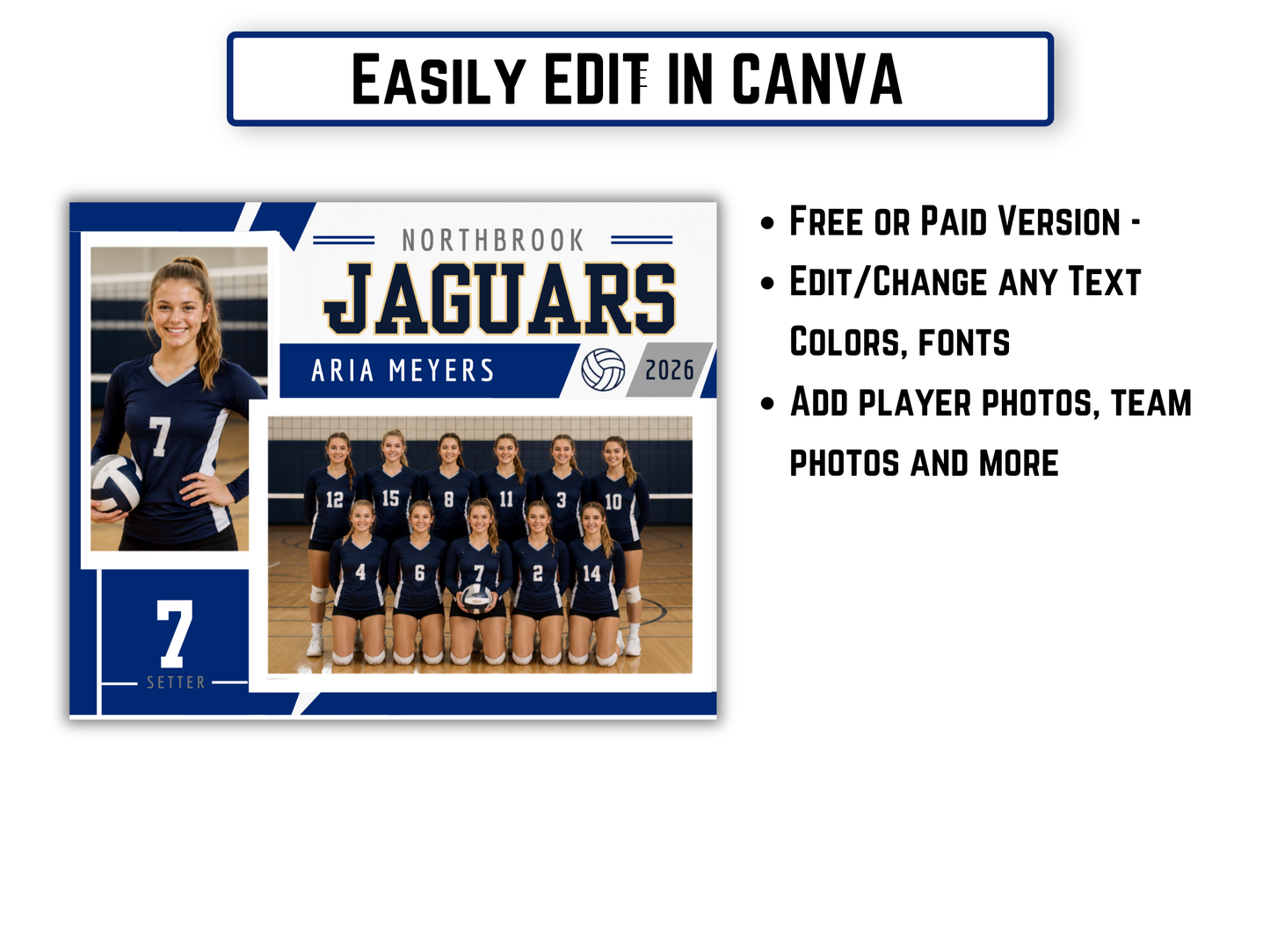 Editable Volleyball Memory Mate Template