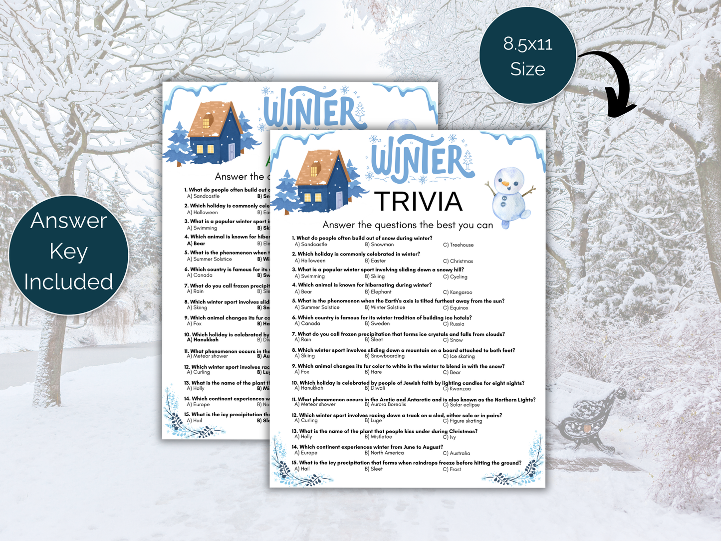 Winter Trivia Game