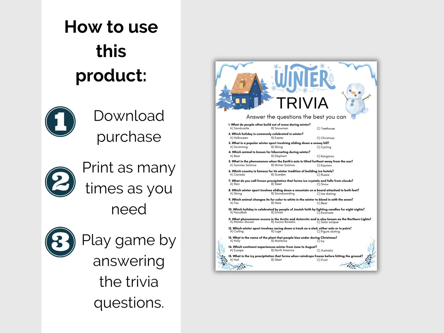 Winter Trivia Game