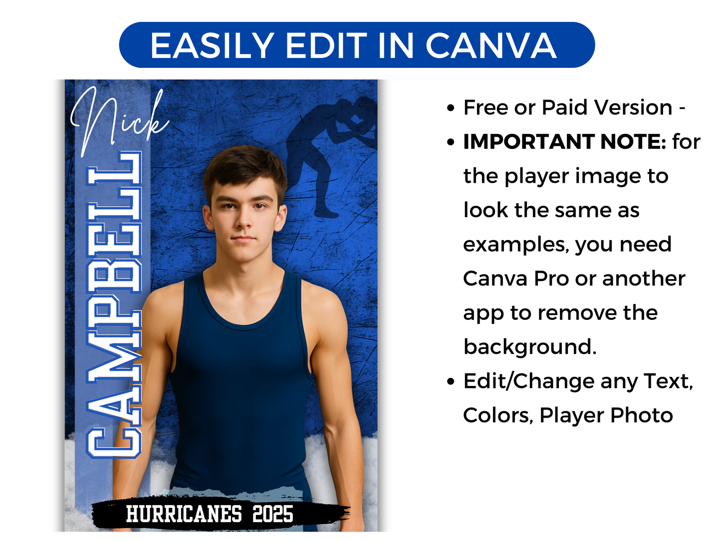Editable Senior Wrestling Banner Template